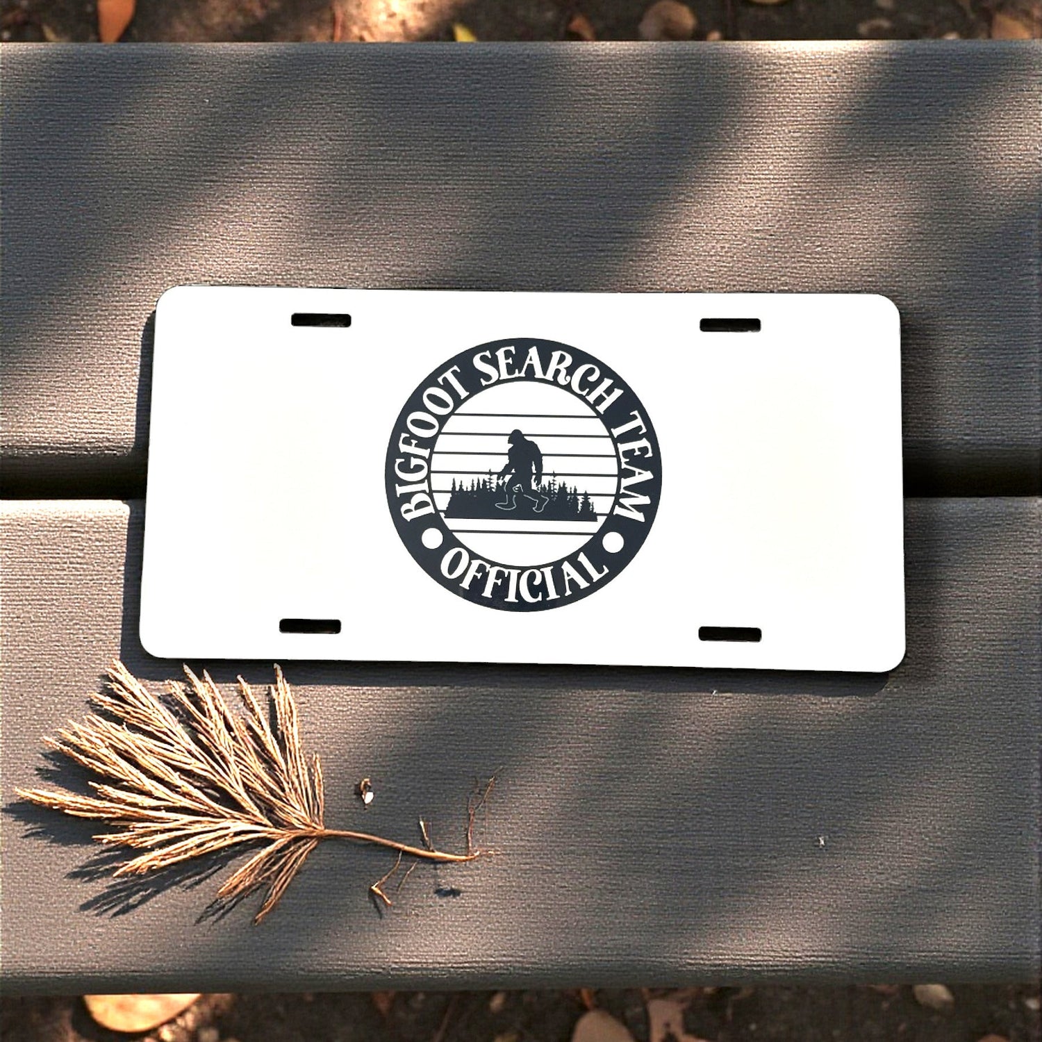 Novelty Signs & Plates