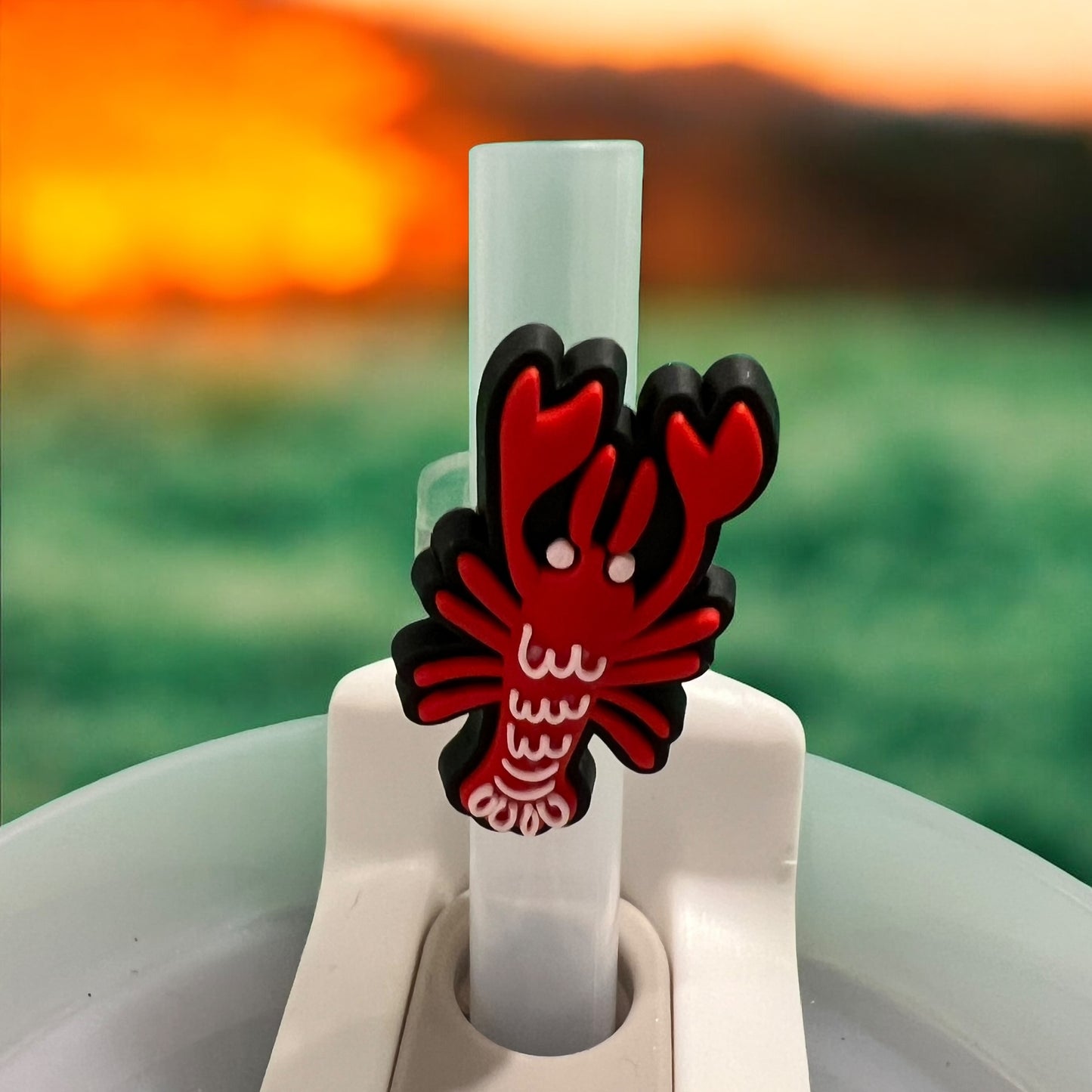 Buy 3 Get 3 Free Straw Toppers