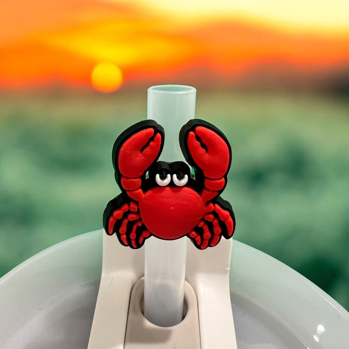 Buy 3 Get 3 Free Straw Toppers