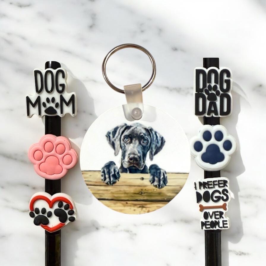 Weimaraner Dog Gift Set: Keychain & Straw Toppers