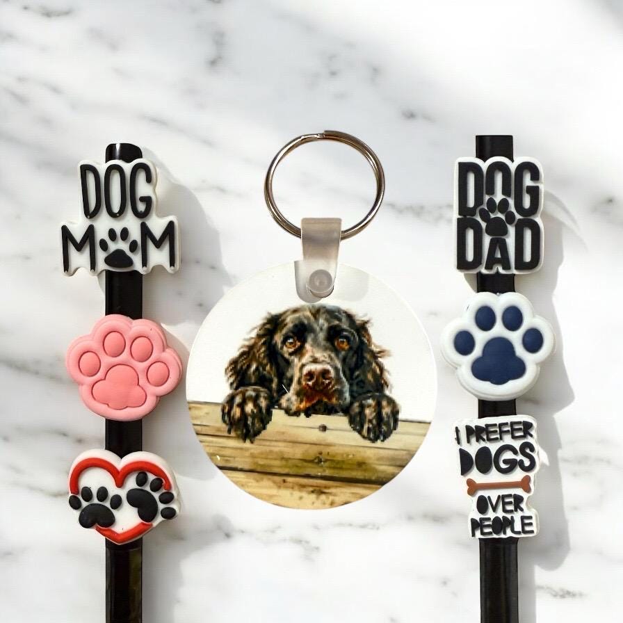Boykin Spaniel Dog Gift Set: Keychain & Straw Toppers