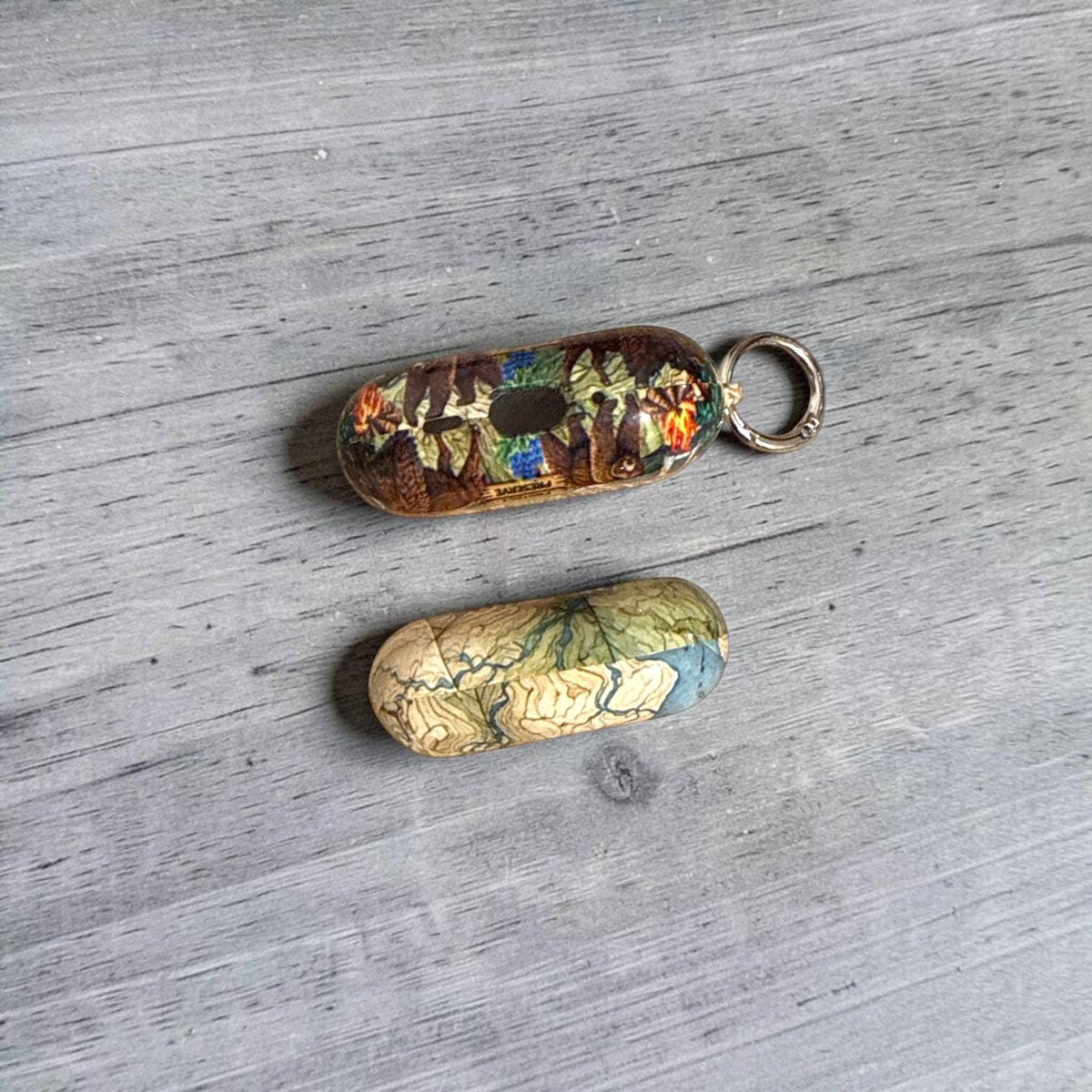 National Parks Map AirPods Pro3 or AirPods 4 Covers, Case,  Skins, NPS Theme, National Parks Inspired