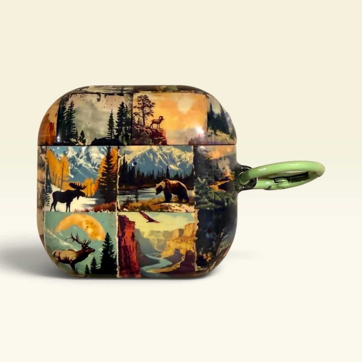Vintage Antique National Parks Airpods Pro 3 4 Cases Skins