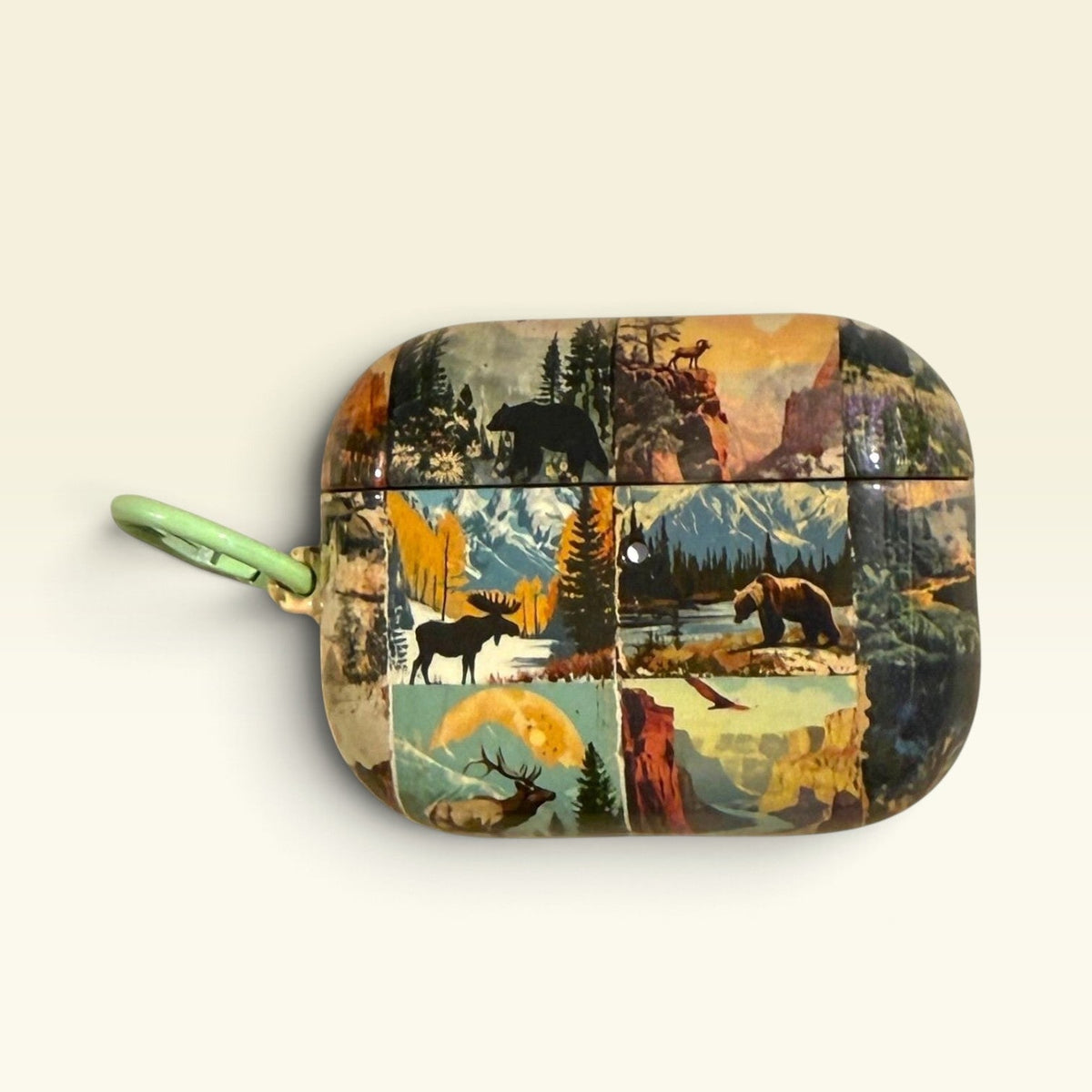 Vintage Antique National Parks Airpods Pro 3 4 Cases Skins