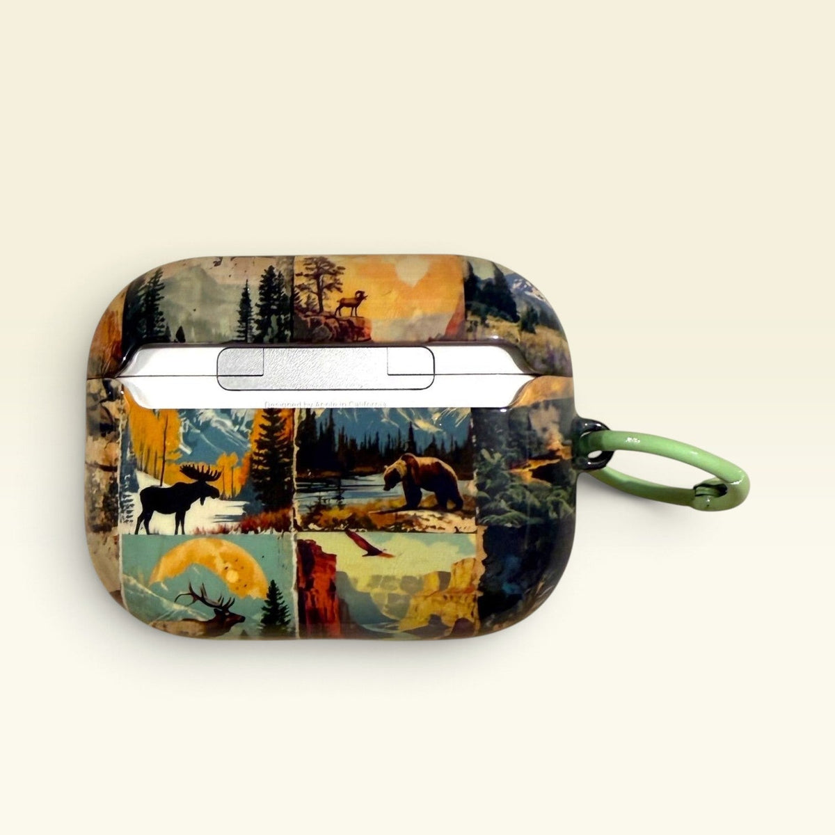 Vintage Antique National Parks Airpods Pro 3 4 Cases Skins