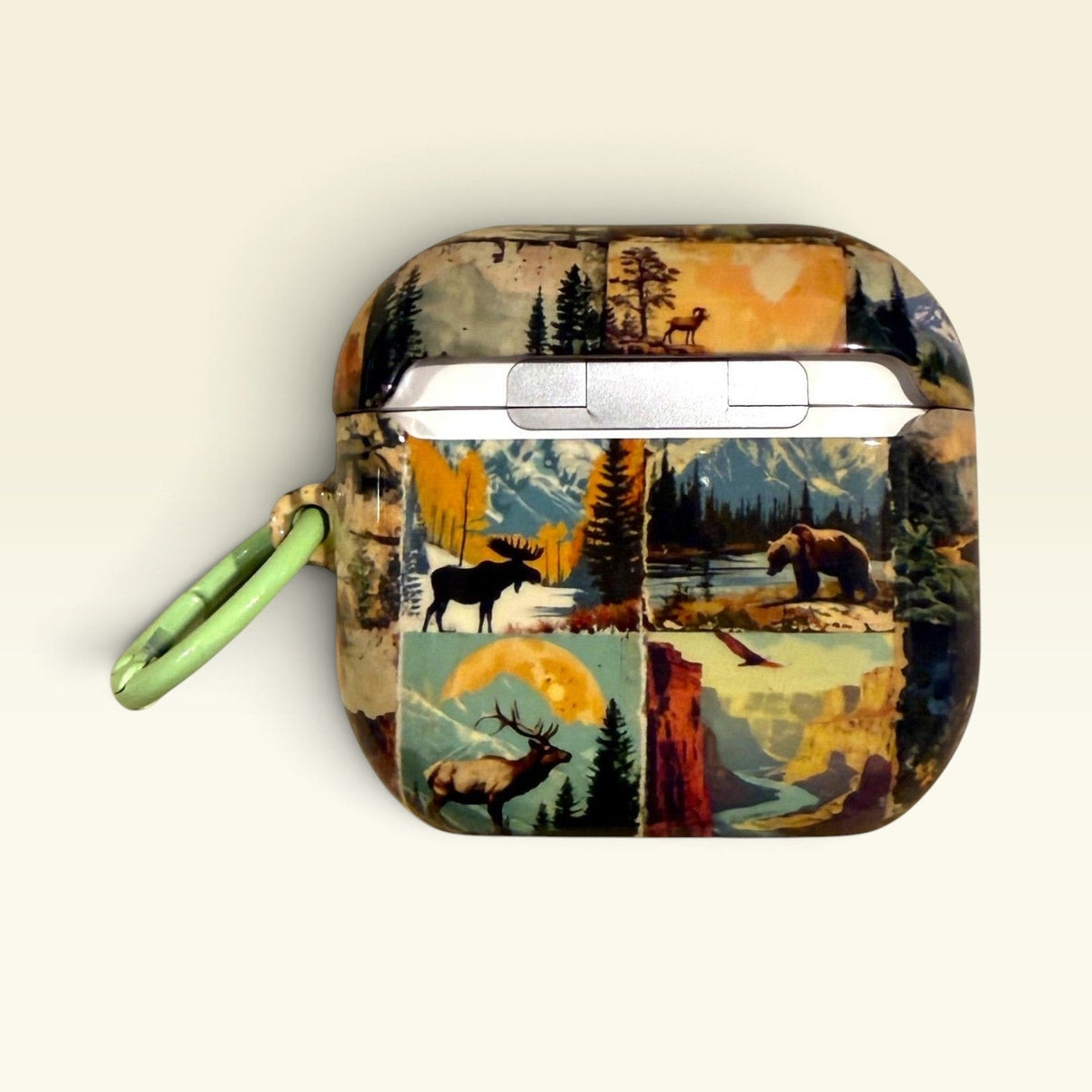 Vintage Antique National Parks Airpods Pro 3 4 Cases Skins